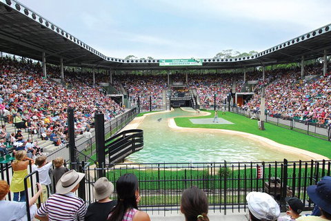 Croc Express To Australia Zoo From Gold Coast - Attractions Perth 2