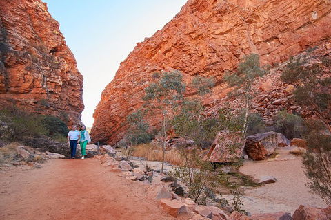 Best Of Alice Springs Full Day Tour - Attractions Perth 1