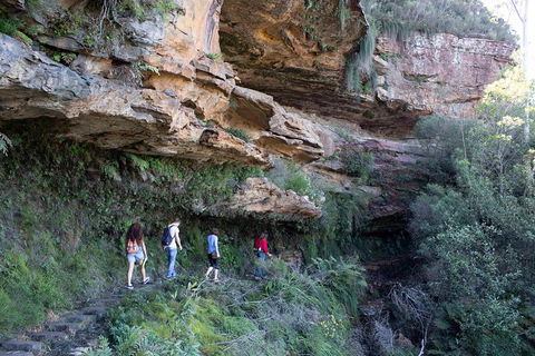 Blue Mountains Nature And Wildlife Day Tour From Sydney - Attractions Perth 2
