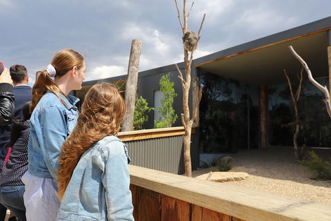 Blue Mountains Nature And Wildlife Day Tour From Sydney - Attractions Perth 3