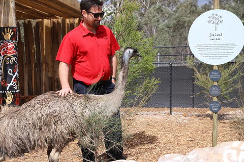 Blue Mountains Nature And Wildlife Day Tour From Sydney - Attractions Perth 5