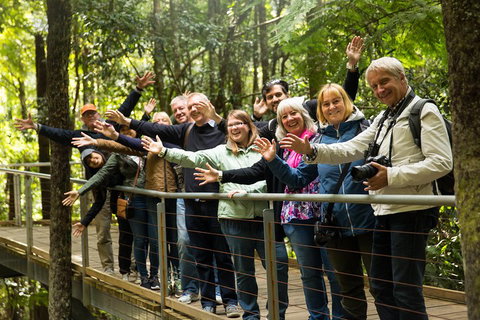 All Inclusive Blue Mountains Small-Group Day Trip From Sydney - Attractions Perth 5