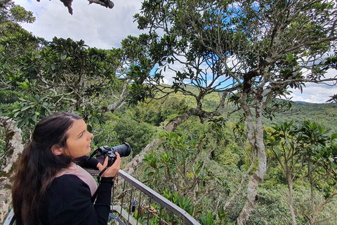 Lamington National Park, O'Reilly's & Vineyard Tour - Attractions Perth 1