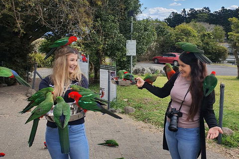 Lamington National Park, O'Reilly's & Vineyard Tour - Attractions Perth 5