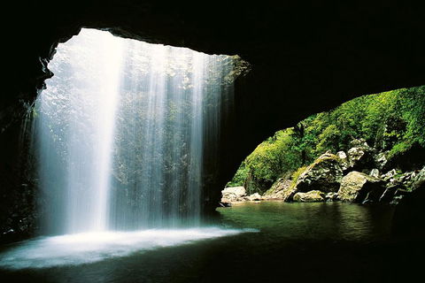 Natural Bridge & Springbrook Waterfalls Tour - Attractions Perth 0