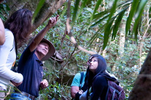 Natural Bridge & Springbrook Waterfalls Tour - Attractions Perth 4