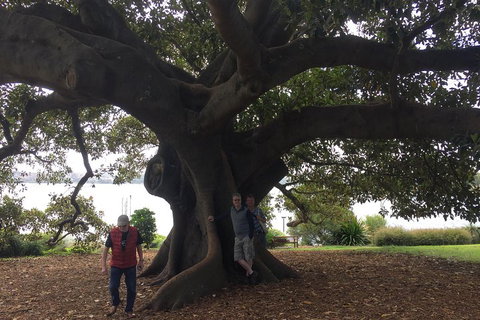 Private Tour: Half-Day Iconic Sydney - Attractions Perth 1