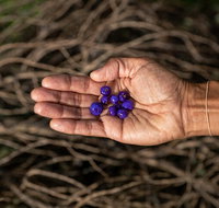 Cape Byron Aboriginal Tour - Attractions Perth