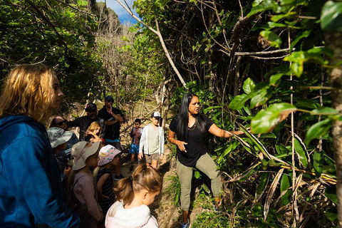 Cape Byron Aboriginal Tour - Attractions Perth 4