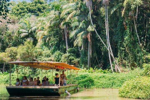 Tropical Fruit World Farm Full Tour - Attractions Perth 0
