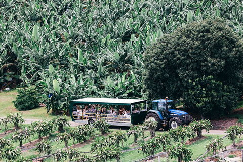 Tropical Fruit World Farm Full Tour - Attractions Perth 5