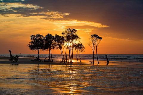 Delightful Darwin Self-Guided Audio Tour - Attractions Perth 3