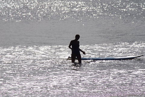Private Surf Coaching Session In New South Wales - Attractions Perth 2