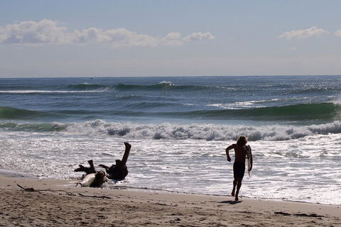 Private Surf Coaching Session In New South Wales - Attractions Perth 3
