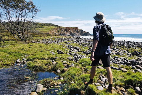 Half Day Guided Small Group Walk - Attractions Perth 0