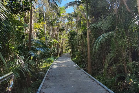 Half Day Guided Small Group Walk - Attractions Perth 3