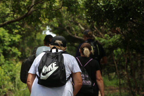 Half Day Guided Small Group Walk - Attractions Perth 4