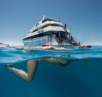 3 Day Great Barrier Reef Daintree Rainforest and Outback Chillagoe Tour - Attractions Perth
