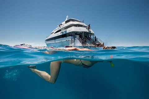 3 Day Great Barrier Reef, Daintree Rainforest And Outback Chillagoe Tour - Attractions Perth 0