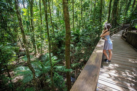 3 Day Great Barrier Reef, Daintree Rainforest And Outback Chillagoe Tour - Attractions Perth 3