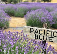 Kangaroo Island Food and Wine Trail Tour - Attractions Perth