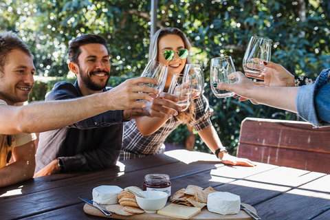 Full-day Wine-Tasting And Tamborine Mountain Tour With Lunch - Attractions Perth 0