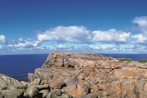 4 Day Tour: Albany, Margaret River, Valley Of The Giants TreeTop Walk From Perth - Attractions Perth 0