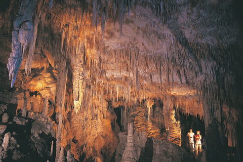 4 Day Tour: Albany, Margaret River, Valley Of The Giants TreeTop Walk From Perth - Attractions Perth 1