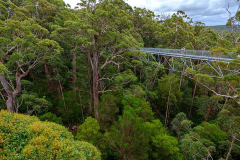 4 Day Tour: Albany, Margaret River, Valley Of The Giants TreeTop Walk From Perth - Attractions Perth 4