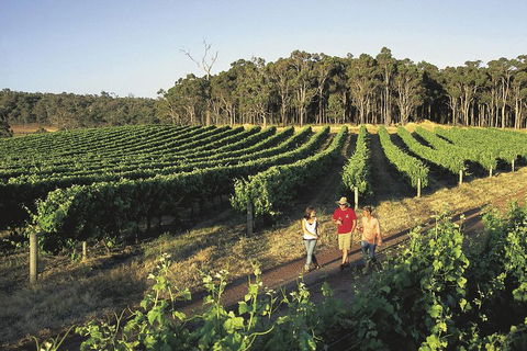 Margaret River, Caves, Wine And Cape Leeuwin Lighthouse Tour From Perth - Attractions Perth 1