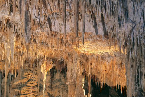 Margaret River, Caves, Wine And Cape Leeuwin Lighthouse Tour From Perth - Attractions Perth 3