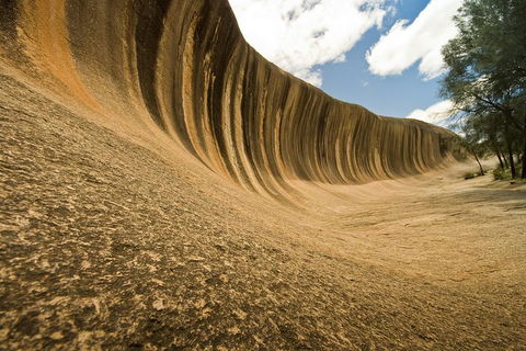 2-Day Wave Rock, York, Wildflowers & Aboriginal Experience - Attractions Perth 1