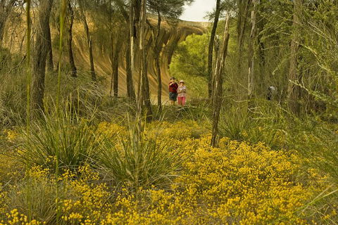 2-Day Wave Rock, York, Wildflowers & Aboriginal Experience - Attractions Perth 2