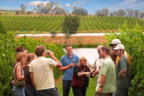 Yarra Valley Balloon Flight And Winery Tour - Attractions Perth 4