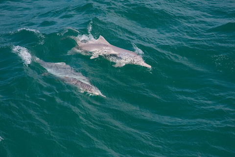 North Stradbroke Island Private Tour With Pickup - Attractions Perth 0