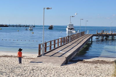 Monkey Mia Dolphins  Shark Bay Air Tour From Perth