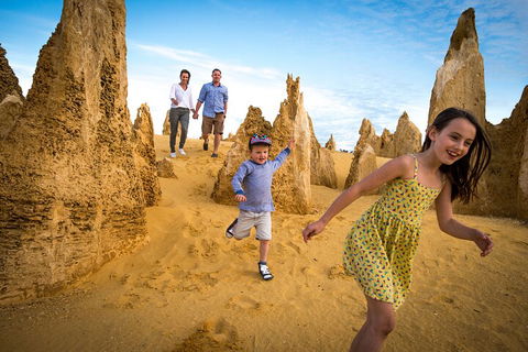 Full-Day Pinnacles Desert And Yanchep National Park Tour From Perth - Attractions Perth 0