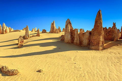 Full-Day Pinnacles Desert And Yanchep National Park Tour From Perth - Attractions Perth 2