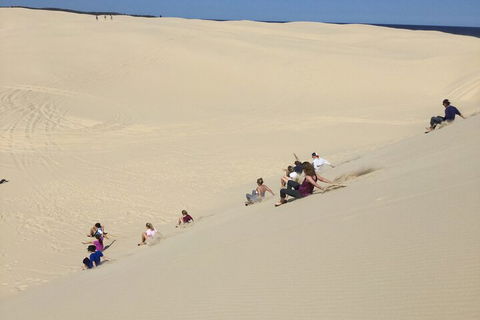 Port Stephens Bush, Beach And Sand Dune 4WD Passenger Tour - Attractions Perth 4