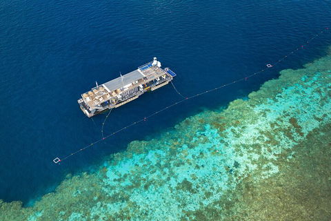 Great Barrier Reef Day Cruise To Reefworld - Attractions Perth 2