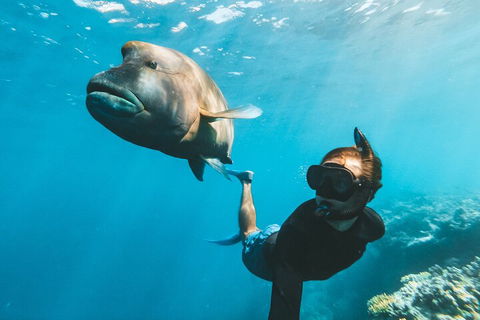 Great Barrier Reef Day Cruise To Reefworld - Attractions Perth 3