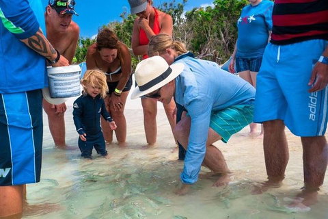 Whitehaven Beach And Hamilton Island Cruise - Attractions Perth 1