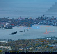 30-Minute Sydney Harbour and Olympic Park Helicopter Tour - Attractions Perth