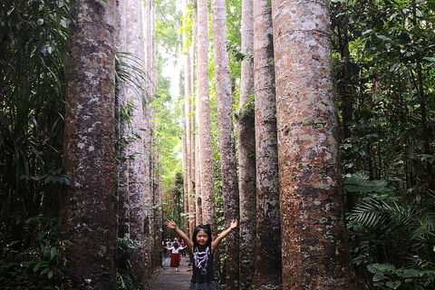 Private Tour To Paronella Park, Historic Village Herberton And Wild Life Wallaby - Attractions Perth 2