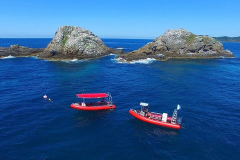 3-Hour Byron Bay Certified Scuba Diving Tour - Attractions Perth 0