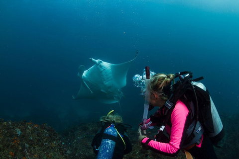3-Hour Byron Bay Certified Scuba Diving Tour - Attractions Perth 2