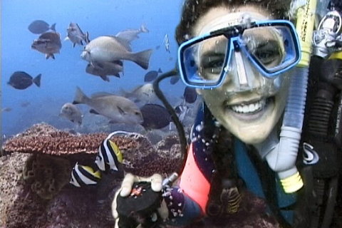 3-Hour Byron Bay Certified Scuba Diving Tour - Attractions Perth 5