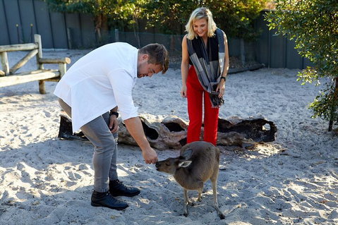 Albany's Whale Story - Attractions Perth 1