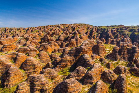 Bungle Bungle Explorer - Attractions Perth 1