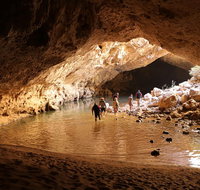 Windjana Explorer - Attractions Perth
